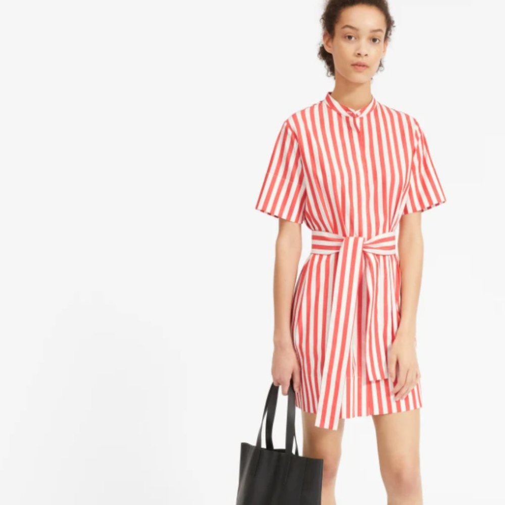 Everlane Cotton Collarless Belted Shirtdress